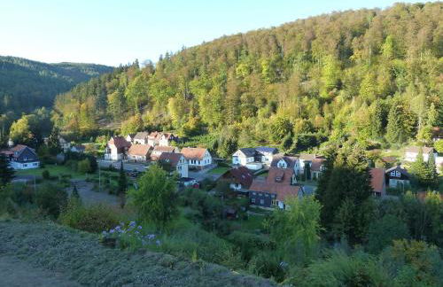 Ferienwohnung Gerken - Foto 10