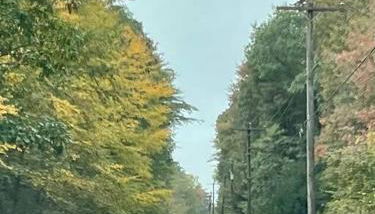 Cozy Log Cabin in Jim Thorpe - Foto 2