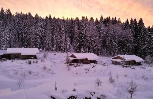 Dreisessel-Chalets im bayerischen Wald - Chalet Plöckenstein - mit Whirlpool-Sauna-Kamin - Foto 36