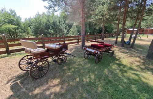 Domki Wrzosowe Wzgórza Nr2 - Foto 42