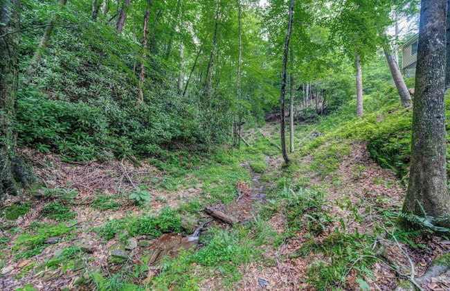 Bear Track Falls Retreat Mtn. Getaway! - Foto 32