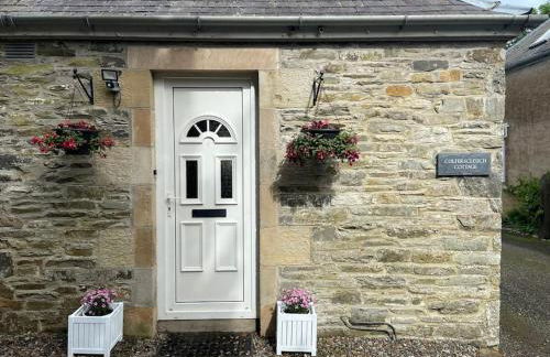 Homely and cosy cottage in the Scottish Borders - Foto 23