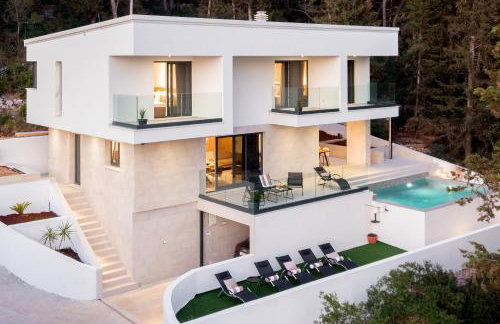 My seagull - Photo 16