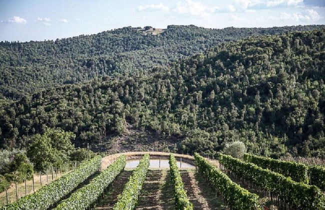 Casa Guaitoli - Foto 20