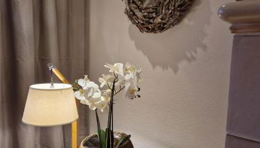 Ferienhaus "Boomen" - Foto 3