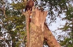 Sunset Serenity on Kego Lake - Foto 26