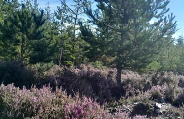 The Boathouse - Foto 25