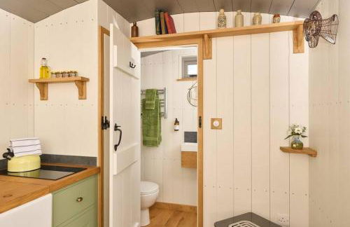 Luxury Shepherd Hut on small South Hams farm, Devon - Foto 8