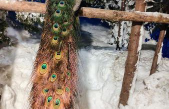 Beskidzka Ostoja - Foto 31