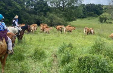 34- Casa di Chiaretta in Val d'Orcia, Sport e Cultura - Foto 47