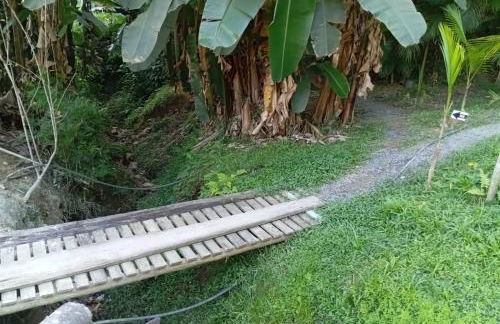 MICRO CASA DE SITIO DO TIO Tonho - Foto 13