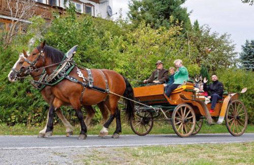 Bayerwald-Ferienhof Schmid - Foto 24