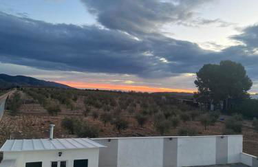 Casa Cristea Barranda - Foto 23