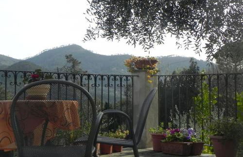 azienda agricola zulin casa elena - Foto 25