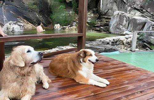 Sítio Piscina natural, Trilha e Cachoeira - Foto 28