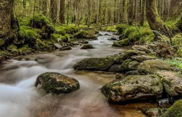 Ferienwohnung Osser Woid - Foto 34