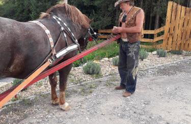 Baba Jagna - Foto 28