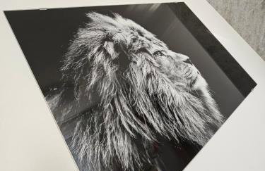 Apartmani Dado - Foto 63