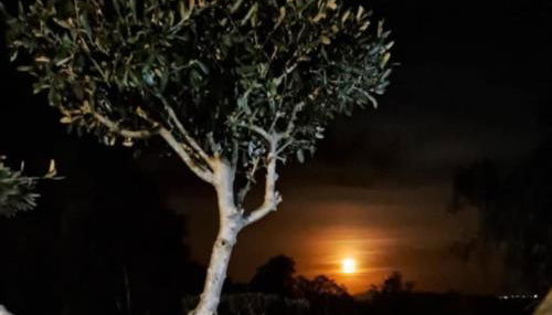 Casa Júlia - Monte das Sorraias - Foto 5