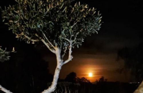 Casa Júlia - Monte das Sorraias - Foto 5