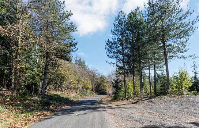 Cevennes Stone Retreat - Foto 23