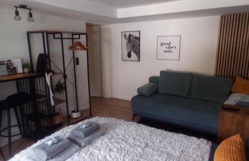 Forest Hill Travel &Work Nettes Apartment mit privatem Eingang Birkenau Mannheim Weinheim Heidelberg - Foto 18