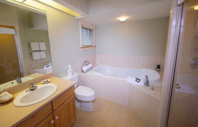 Solitude Village at Okemo by Vail Resorts - Foto 64