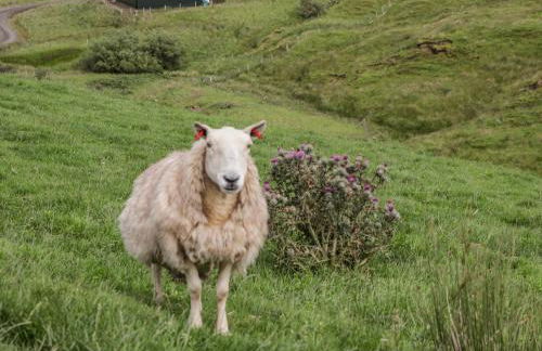 Ridge End Cottage - Foto 20