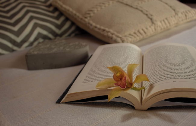 Wasikuna cabañas rurales tipo glamping - Foto 18