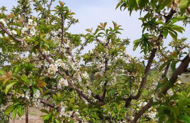 Monte da Casa Branca by Hi Alentejo - Foto 53