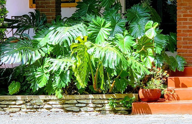 Kundayo Serviced Apartments Lodge - Photo 31