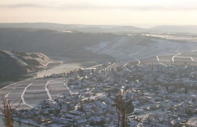 in Landhuisstijl met Uitzicht op de Moezel - Photo 24