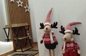 Mieszkanie nad Jeziorem Rożnowskim - Foto 2