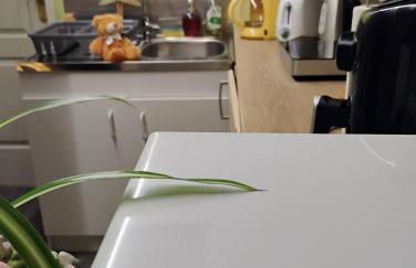 Gîte Le Marronnier, parking et terrasse au calme, entre Colmar-Riquewihr et Obernai, vue sur espaces verts et coteaux d Alsace, route du vin-châteaux - Foto 18