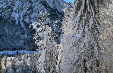 Ferienwohnung Alpenglück mit Schwimmbad und Sauna - Photo 34