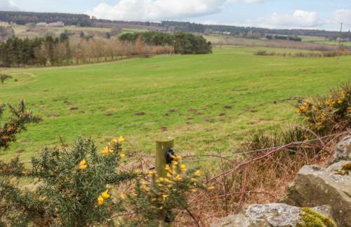 Hayloft Cottage - Foto 33