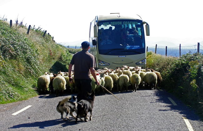 Dingle Town Holiday Home - Foto 18