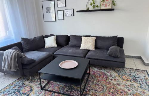 Helles APT Wiesbaden Mainz FFM 2 Schlafzimmer - Foto 10