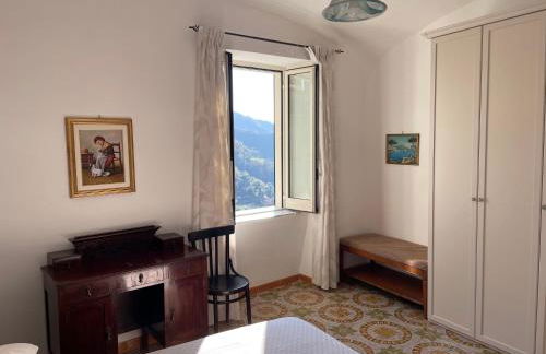 Il Gelso Bianco -The White Mulberry Tree - Foto 9