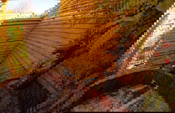 Cabañas Pewma Futrono - Foto 27