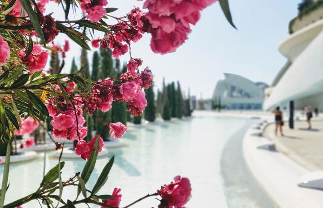 Visit to Valencia: Full-Day Tour - Foto 4