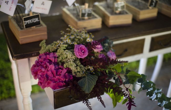 Finca Santa Barbara - Foto 32