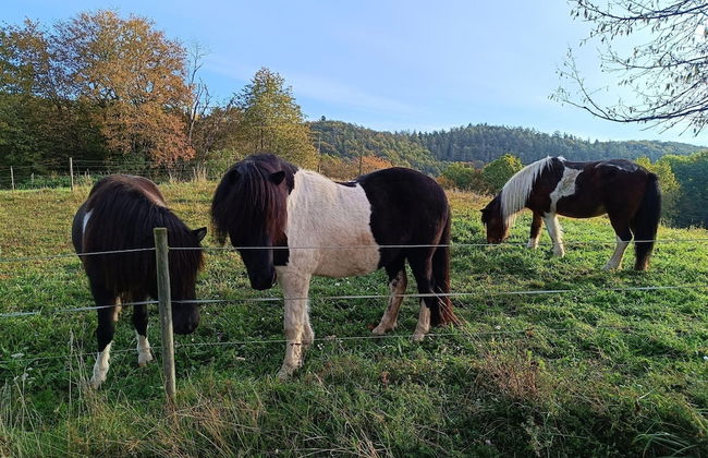 Ferienwohnung mit Bergblick - Foto 48