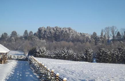 Zajazd Bieszczadzka Ostoja - Foto 30