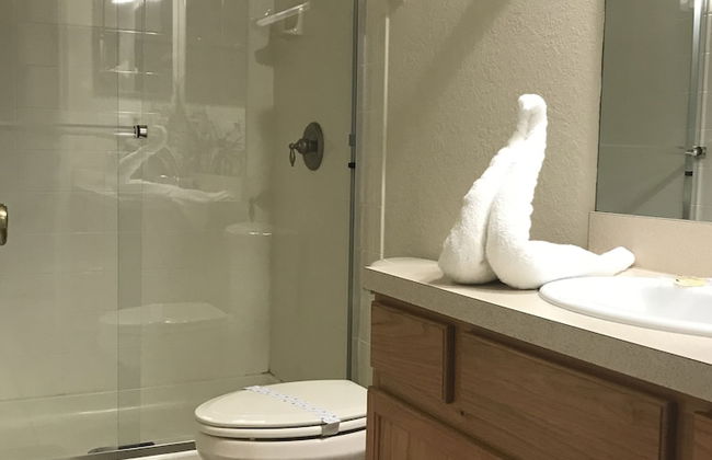 Kissimmee Vacation Homes by Shine FM - Photo 72