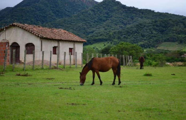 Tour de 3 días por los valles de Tarija - Foto 2