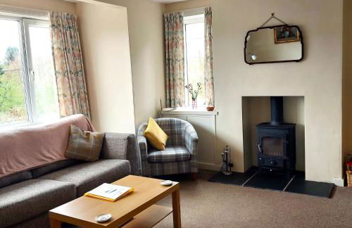 Springfield - Foto 5