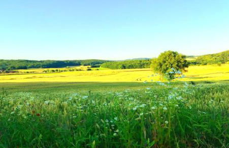 Quartier Allna - Photo 8