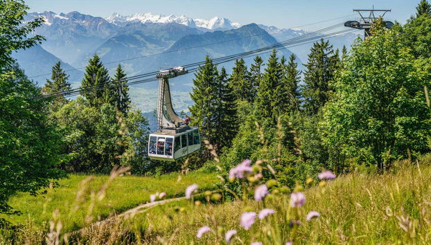 Mount Rigi Day Pass - Foto 2