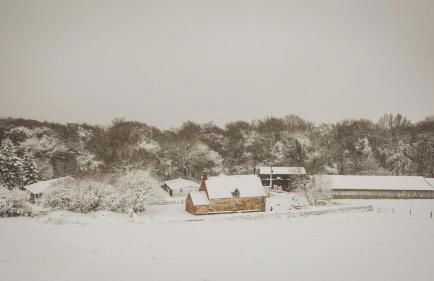 The Organic Cotswolds Cowshed - Photo 55